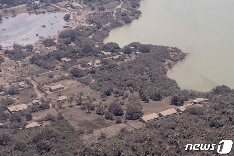 통가의 노무카 지역이 화산재로 뒤덮여 있다. 지난 15일 해저화산 화산폭발로 통가 전역이 화산재에 덮여 있는 것으로 알려지고 있다. 뉴질랜드 공군 제공 © AFP=뉴스1 © News1 박형기 기자