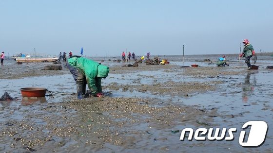 제부도 갯벌. 경기도 제공