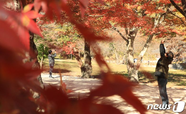 전북 부안군 내소사 단풍© News1