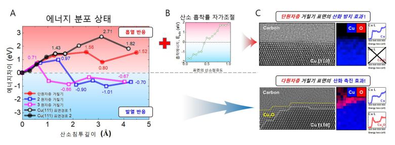 표면 원자계단의 개수에 따라 산소가 구리속으로 침투하는데 필요한 에너지가 달라진다. 그림 A는 표면 원자계단이 한 층인 경우 산소침투는 흡열 반응이고 두층 이상인 경우 발열 반응을 함을 계산을 통해서 보여준다. 그림 B는 산소가 평탄한 구리 표면을 50% 이상 점유하면 스스로 산소를 밀어내는 자기-조절 기능을 가짐을 보이고, 그림 C 에서는 실제로 초평탄 면에는 산화면이 존재하지 않고 원자계단이 두 층 이상인 경우 산화층이 존재함을 실험적으로 보여준다. (정세영 부산대학교 교수 제공) 2022.03.16 /뉴스1