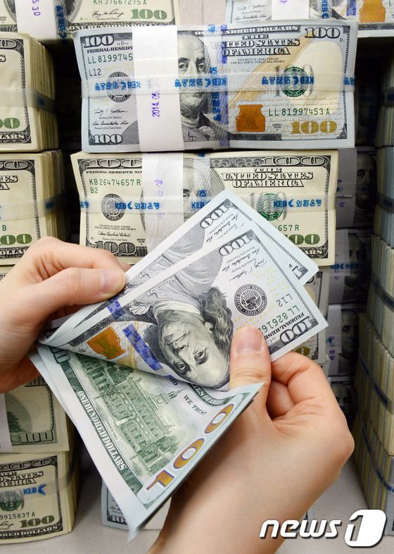 5일 오후 서울 을지로 외환은행 본점에서 한 직원이 달러를 정리하고 있다.  2014.6.5/뉴스1