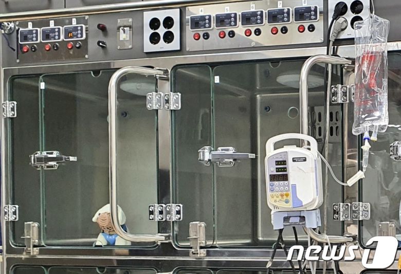 3일 서울 광진구 건국대학교에서는 동물병원 재개원식이 열렸다. 사진은 의료진이 24시간 상주하면서 동물들을 돌보게 될 입원실 © 뉴스1 최서윤 기자