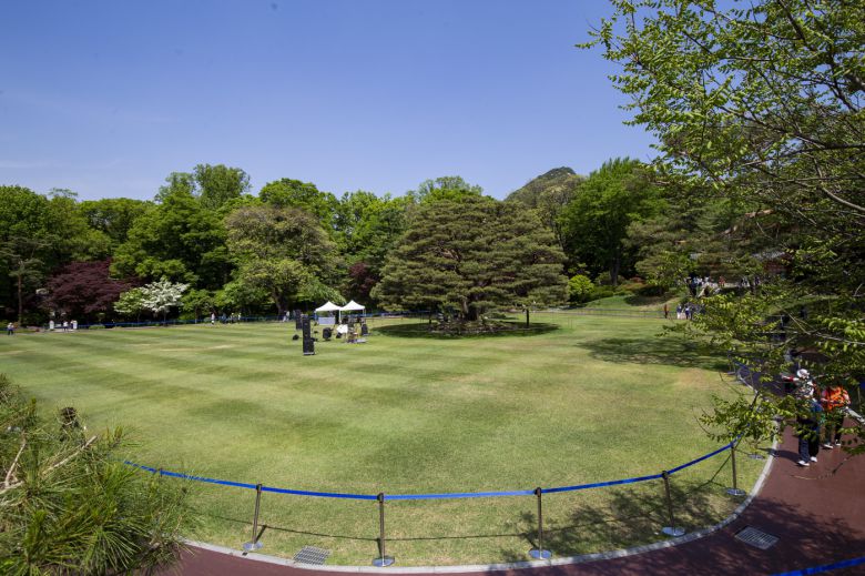 청와대 녹지원의 모습. 서울관광재단 제공