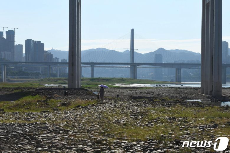 17일 중국 충칭에서 한 여성이 메마른 양쯔강 강바닥을 걷고 있다. 22.08.17 ⓒ 로이터=뉴스1 ⓒ News1 김예슬