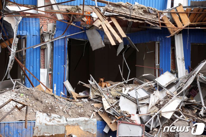 21일(현지시간) 우크라이나 도네츠크의 바크무트에서 러시아 군의 포격을 받아 아수라장 된 쇼핑몰에 강아지가 앉아 있다. ⓒ 로이터=뉴스1 ⓒ News1 우동명 기자