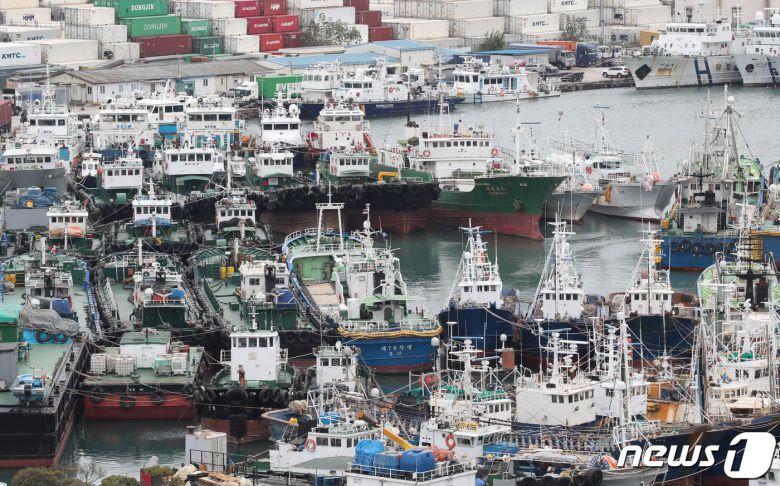 제14호 태풍 '난마돌' 이 북상 중인 18일 부산 동구 부산항 제5부두에 선박들이 피항해 있다. 2022.9.18/뉴스1 ⓒ News1 김영훈 기자