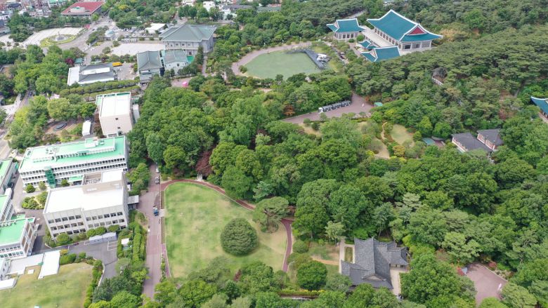 청와대 노거수 군 전경. (문화재청 제공)