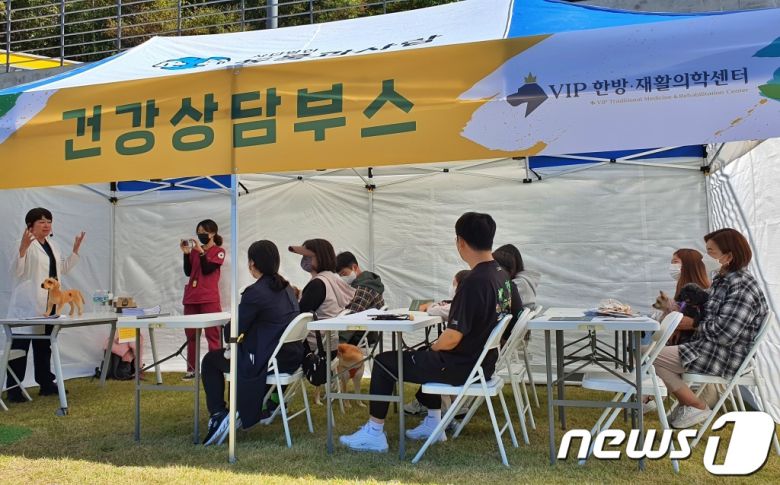 8일 강원 춘천시 강아지숲 테마파크에서 열린 '2022 도그페스타'에서 건강상담이 진행됐다. ⓒ 뉴스1 최서윤 기자