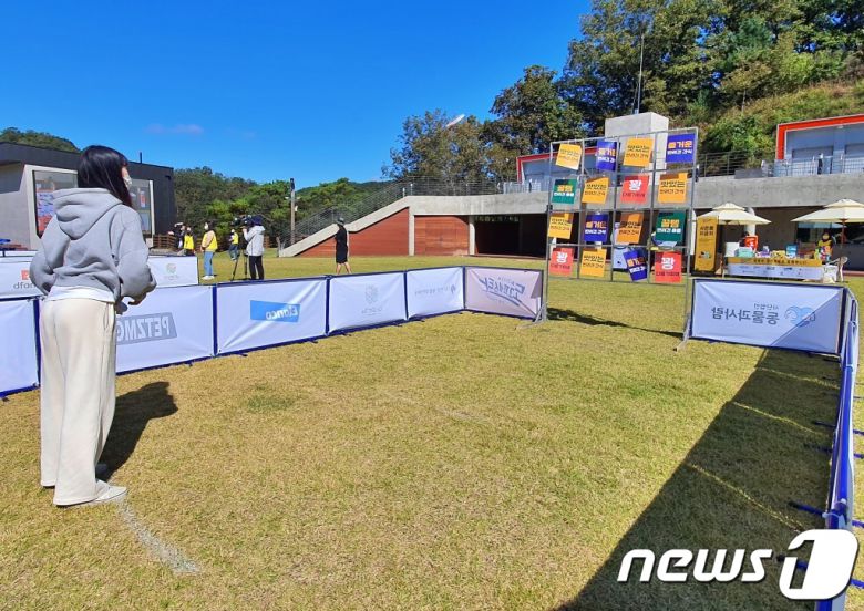 8일 강원 춘천시 강아지숲 테마파크에서는 '2022 도그페스타'가 진행됐다. ⓒ 뉴스1 최서윤 기자