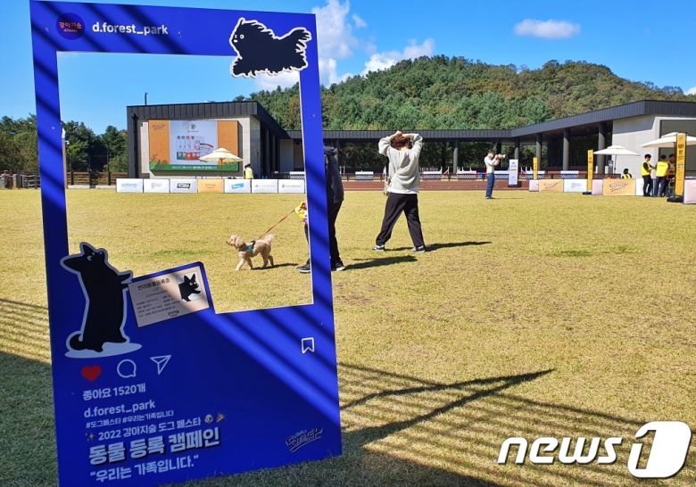 8일 강원 춘천시 강아지숲 테마파크에서는 '2022 도그페스타'가 진행됐다. ⓒ 뉴스1 최서윤 기자