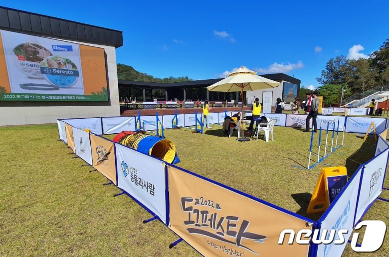 8일 강원 춘천시 강아지숲 테마파크에서는 '2022 도그페스타'가 진행됐다. ⓒ 뉴스1 최서윤 기자