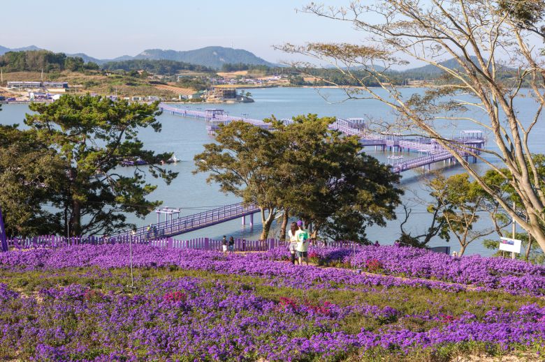바다 위를 걸어가는 보랏빛 섬 '신안 퍼플섬'(한국관광공사 제공)