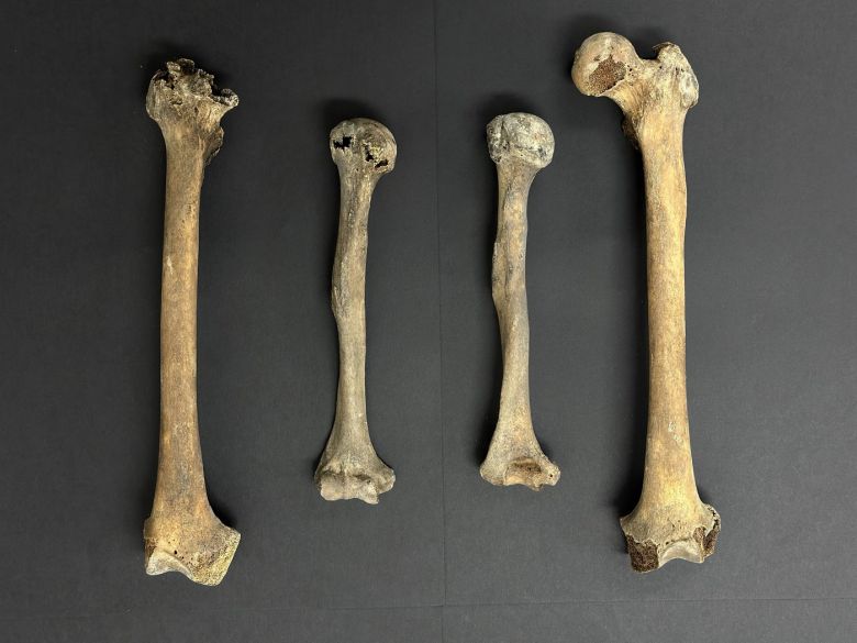 충남 보령 옥약골 유적에서 출토된 옛사람 뼈. (국립문화재연구원 제공)