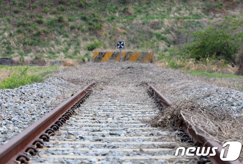 강원도 고성군 민통선 내 동해선 제진역 강릉 방향 철로 자료 사진.(뉴스1 DB)