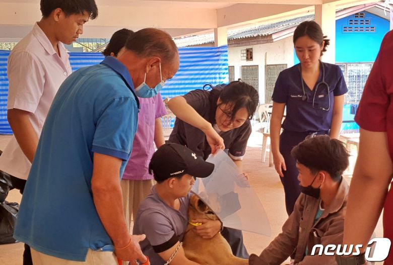 국경없는 수의사회는 12일 라오스 국립대학교 동물병원에서 동물의료봉사 활동을 했다. ⓒ 뉴스1 최서윤 기자