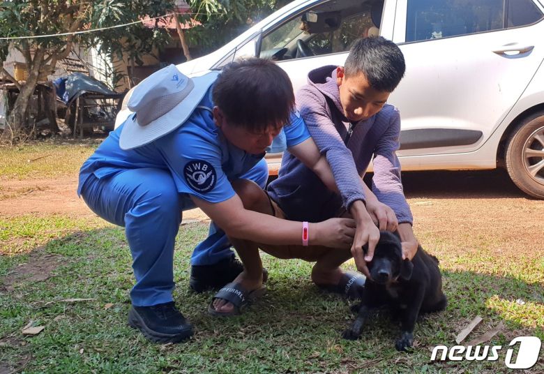 국경없는 수의사회는 12일 라오스 국립대학교 동물병원에서 동물의료봉사 활동을 했다. ⓒ 뉴스1 최서윤 기자