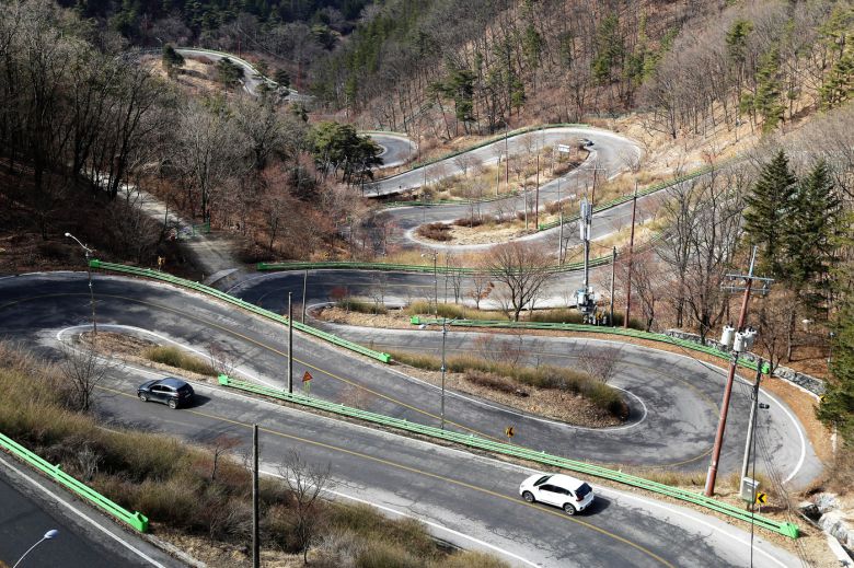 말티재 주변으로 황매화 1만8000주가 심겨있다(한국관광공사 제공)