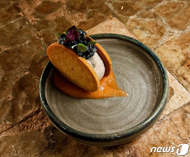 채식 코코넛 아이스크림 샌드위치ⓒ News1