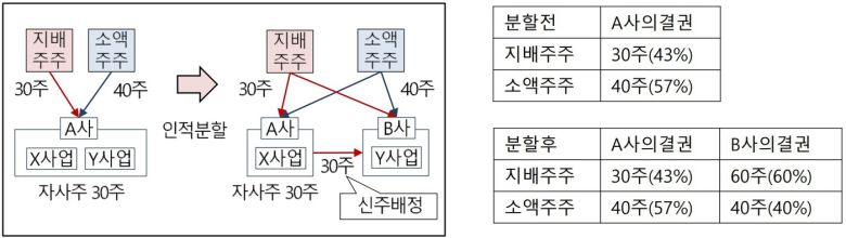인적분할 시 자사주를 활용해 편법적으로 지배력을 강화하는 사례(금융위원회 제공) ⓒ News1 강은성 기자