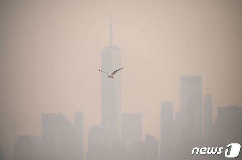 6일 (현지시간) 캐나다에서 발생한 산불의 영향으로 연기로 덮여 뿌옇게 변한미국 뉴욕 맨해튼의 빌딩 사이로 갈매기가 날고 있다. 2023.6.8 ⓒ AFP=뉴스1 ⓒ News1 우동명 기자