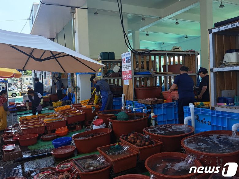 9일 경남 거제시 사등면에 위치한 거제수협 성포위판장 전경. 2023.06.09/ ⓒ 뉴스1 강미영 기자