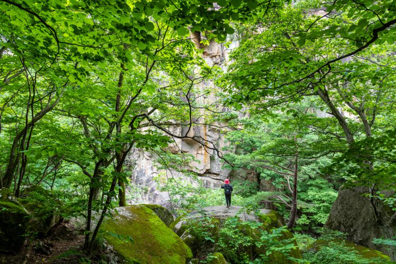 초록이 우거진 숲은 햇빛을 가려주고, 살랑 불어오는 바람은 땀을 식혀준다(한국관광공사 제공)