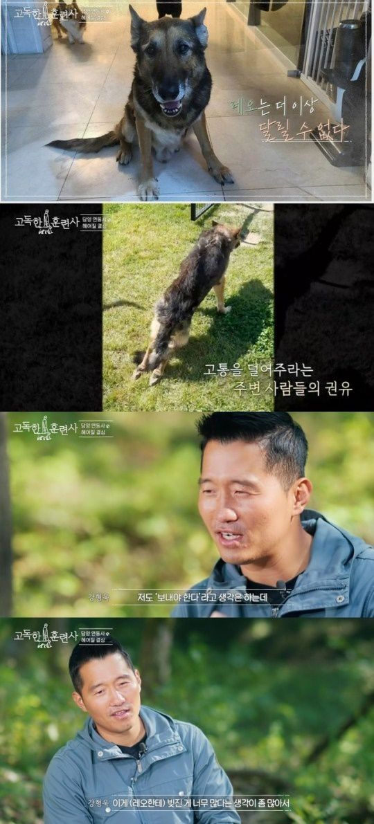 (tvN STORY '고독한 훈련사' 갈무리)