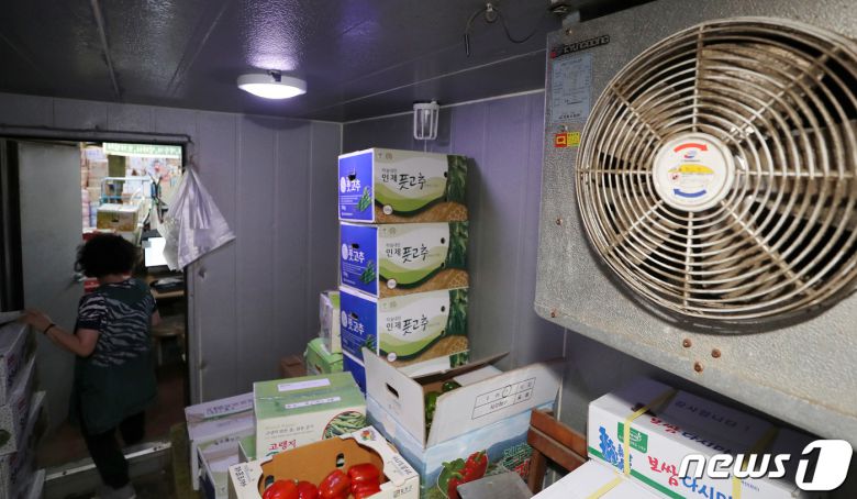 서울 마포농수산물시장에서 한 상인이 더위 속에 채소류를 냉장 보관하고 있다. 2023.8.8/뉴스1 ⓒ News1 이동해 기자