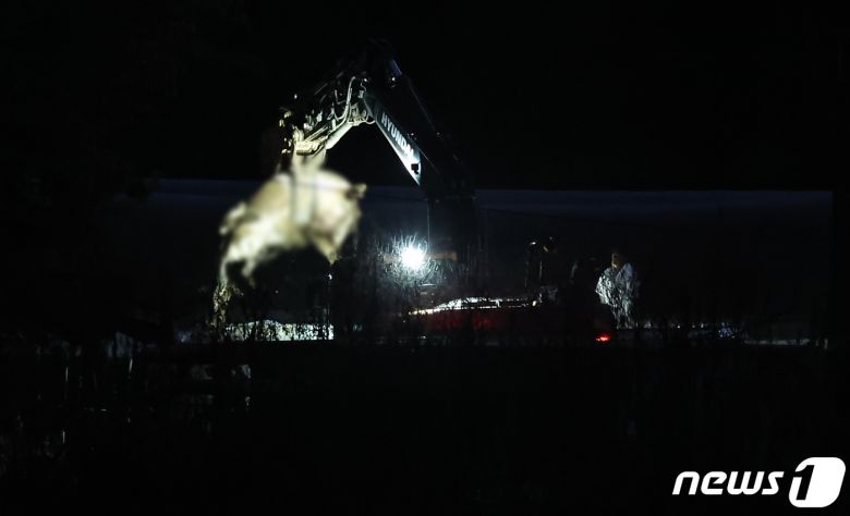 22일 오후 소 바이러스성 질병인 '럼피스킨병'(Lumpy Skin Disease)' 확진 사례가 나온 경기 김포시 하성면 축산농가에서 방역 관계자들이 살처분을 하고 있다. 2023.10.22/뉴스1 ⓒ News1 김도우 기자