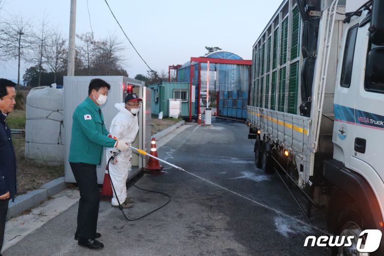 노형수 고창군 부군수가 소 럼피스킨 방역활동을 지원하고 있다.(고창군 제공)2023.11.20/뉴스1