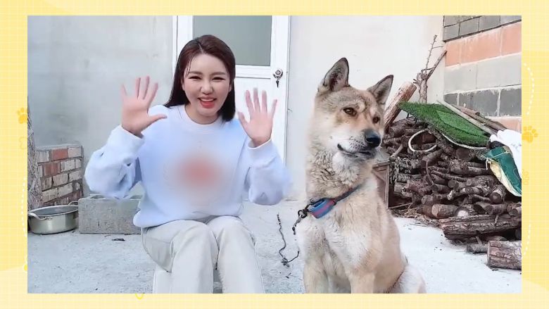 KBS 2TV '개는 훌륭하다'