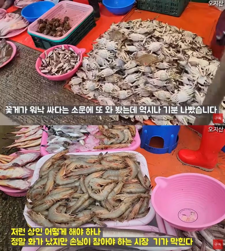 (유튜브 채널 '오지산' 갈무리)