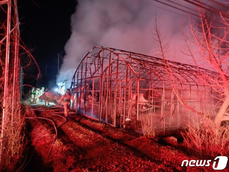 5일 오후 11시4분쯤 충북 괴산군 청안면 운곡리의 한 비닐하우스에서 불이 나 40여분 만에 진화됐다.(괴산소방서 제공)/뉴스1