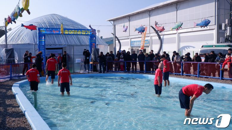 평창 송어 축제에서 맨손잡기에 나선 관광객들의 모습ⓒ News1