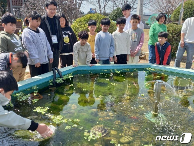 군외초등학교(교장 구용혁)- 22일 전교생과 교직원 40여명이 함께 참한 가운데 학생자치회 주관으로 학교 숲 중심에 위치한 자연생태연못 개장식을 열었다. 금붕어, 거북이, 미꾸라지 등 연못에서 생태계를 이루는 어종을 방생하는 행사도 함께 가졌다.(전남교육청 제공)/뉴스1