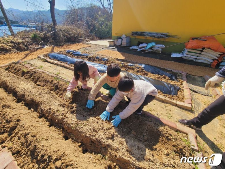 옴천초(교장 김대성)- 21일 농산촌 체험 프로그램의 일환으로 학교  텃밭에서 감자 심기 체험을 실시했다. 학생들이 직접 흙을 파고 구멍에 감자를 넣고, 다시 흙을 다지는 등 일일 농부가 되어 감자 심기를 직접 체험했다.(전남교육청 제공)/뉴스1