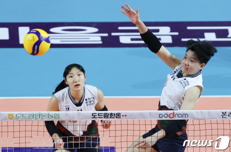 20일 오후 인천 삼산월드체육관에서 열린 여자프로배구 '2023-2024 도드람 V리그' 흥국생명과 현대건설의 경기에서 현대건설 위파위가 공격을 하고 있다. 2023.12.20/뉴스1 ⓒ News1 이재명 기자