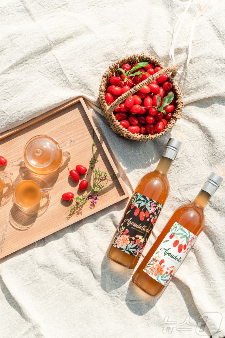 뜰보리수 열매와 수제 발효차. 뉴스1