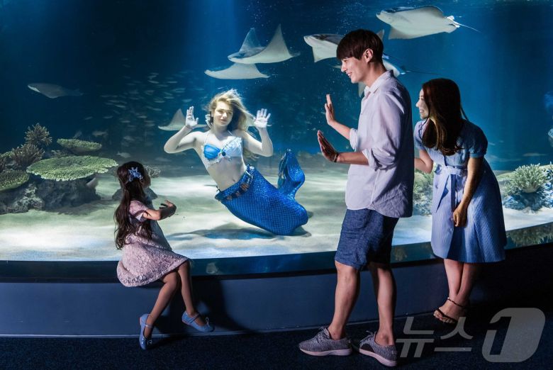 아쿠아플라넷63에서 한 가족이 인어공주 공연을 관람하고 있다.(한화호텔앤드리조트 제공)