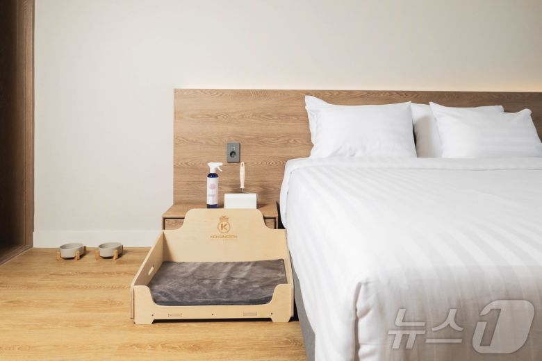 펫 전용 침대가 마련된 켄싱턴리조트 충주의 객실.(켄싱턴리조트 제공)