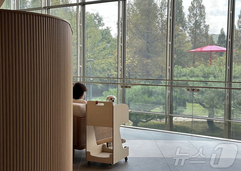 로비에서 견주와 휴식을 보내고 있는 반려견. ⓒ News1 윤슬빈 기자