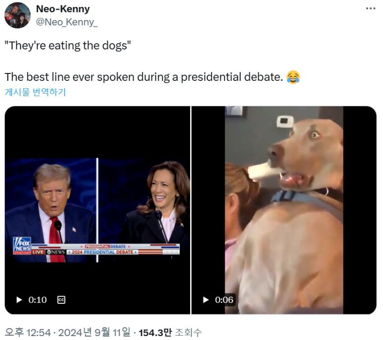 <출처=엑스(구 트위터) 갈무리>