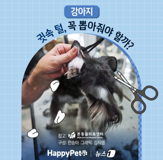 ⓒ News1 김지영 디자이너