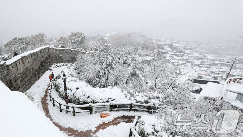 많은 눈이 내린 27일 오후 서울 종로구 낙산공원에 눈이 쌓여있다. 이날은 서울에 공식적으로 16㎝가 넘는 눈이 쌓여 1907년 근대적인 기상관측을 시작한 이래 117년 만에 11월엔 가장 많은 눈이 쌓인 것으로 나타났다. 오전 10시 기준, 서울의 공식적인 '일 최고 적설'(일 최심 적설)은 16.5㎝로 나타났다. 서울의 공식적인 적설 기록은 종로구 송월동 서울기상관측소의 측정값을 활용한다. 2024.11.27/뉴스1 ⓒ News1 이승배 기자