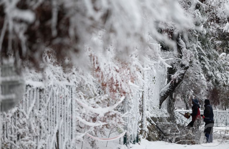 서울 지역에 올해 첫 눈이 내린 27일 오전 서울 종로구 북악스카이웨이 입구에서 관계자들이 안전한 통행을 위해 주변을 정돈하고 있다. 2024.11.27/뉴스1 ⓒ News1 이재명 기자