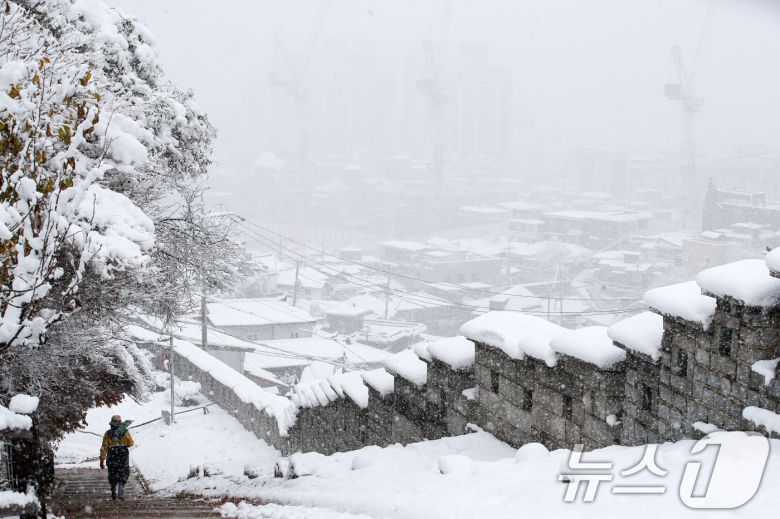 많은 눈이 내린 27일 오후 서울 종로구 낙산공원에 눈이 쌓여있다. 이날은 서울에 공식적으로 16㎝가 넘는 눈이 쌓여 1907년 근대적인 기상관측을 시작한 이래 117년 만에 11월엔 가장 많은 눈이 쌓인 것으로 나타났다. 오전 10시 기준, 서울의 공식적인 '일 최고 적설'(일 최심 적설)은 16.5㎝로 나타났다. 서울의 공식적인 적설 기록은 종로구 송월동 서울기상관측소의 측정값을 활용한다. 2024.11.27/뉴스1 ⓒ News1 이승배 기자