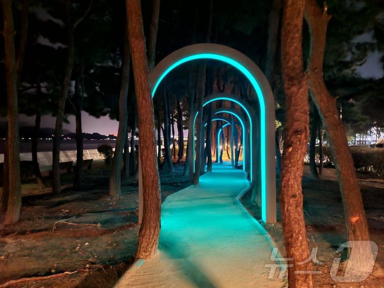 부산 강서구 맨발산책로 야간 전경(강서구청 제공)