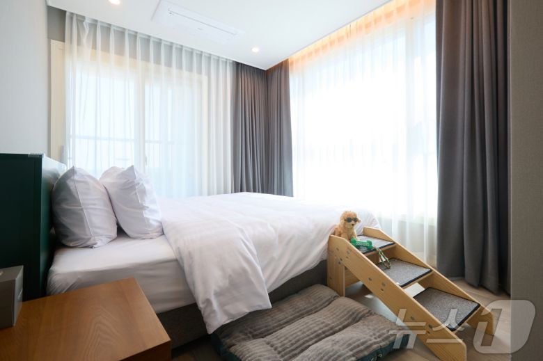 체스터톤스 낙산의 펫 프렌들리 룸.(체스터톤스호텔앤드레지던스 제공)