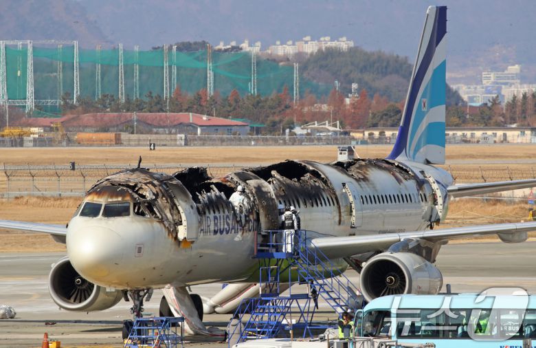 30일 부산 강서구 김해국제공항 내 에어부산 항공기 화재 현장에서 국토부 항공철도사고조사위원회, 국립과학수사연구원, 부산경찰청, 부산소방재난본부 등 관계자들이 합동 감식에 앞서 안정성 확보를 위한 조사를 실시하고 있다. 지난 28일 오후 10시 15분쯤 김해공항 계류장에서 이륙을 준비하던 홍콩행 에어부산 항공기에서 불이 나 승객과 승무원 등 176명이 비상 슬라이드를 통해 전원 탈출했다. 2025.1.30/뉴스1 ⓒ News1 윤일지 기자