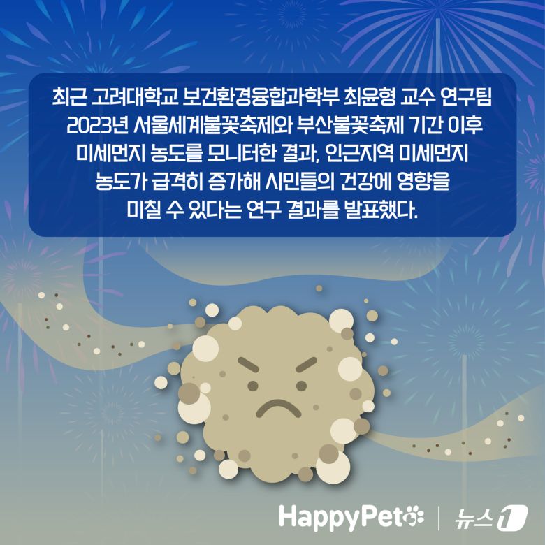 불꽃놀이 펫카드 ⓒ 뉴스1